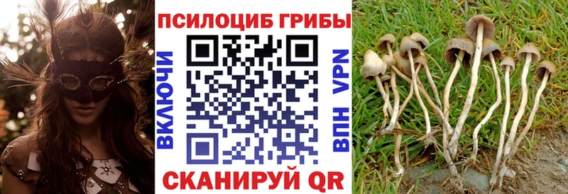 Галлюциногенные грибы ЛСД  наркота  Мелеуз 